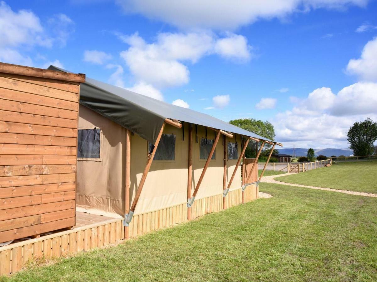 Carr'S Hill Luxury Safari Tents Denny المظهر الخارجي الصورة